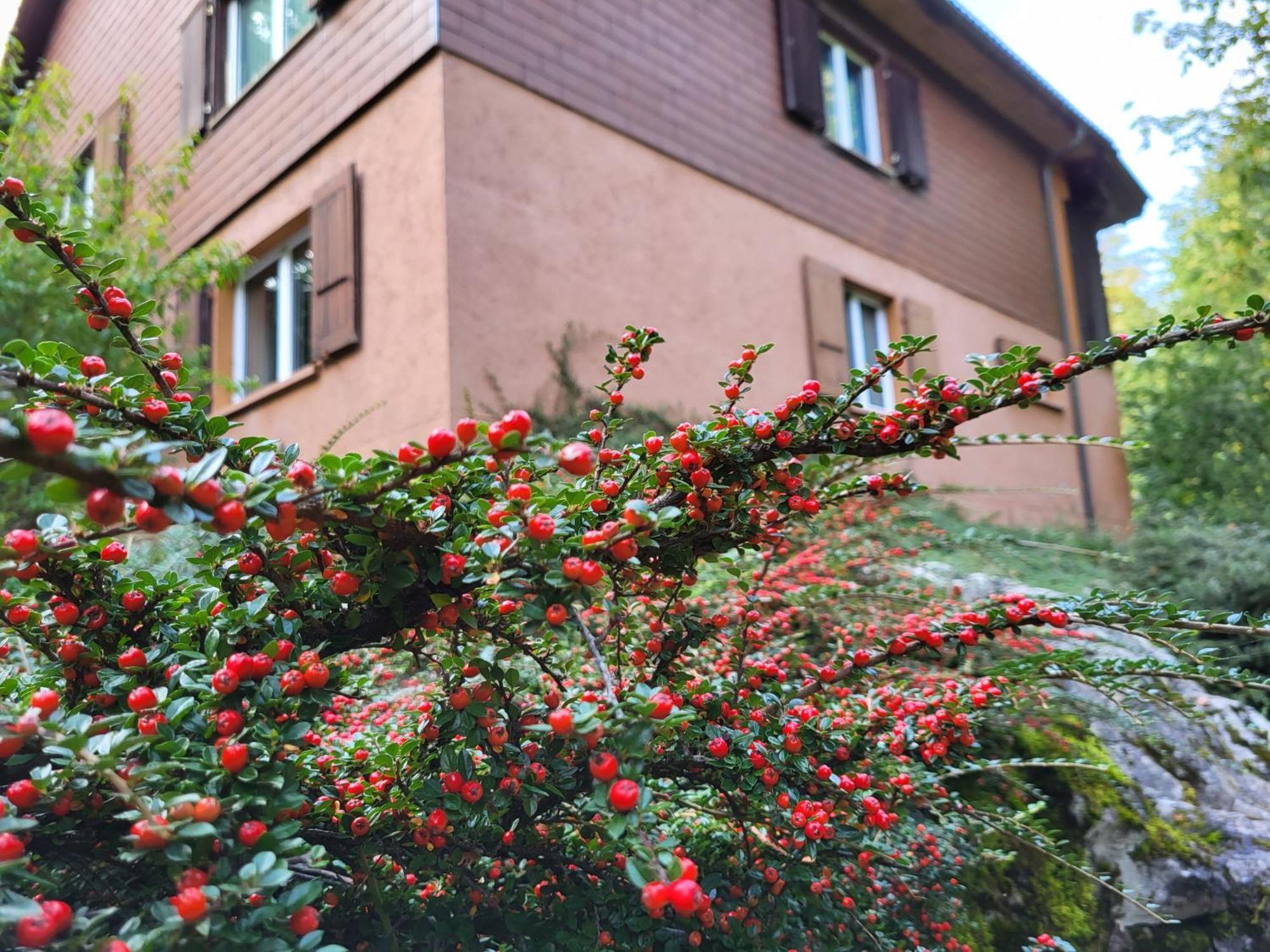 Ferienhaus Baerschwendi Lungern Exterior photo
