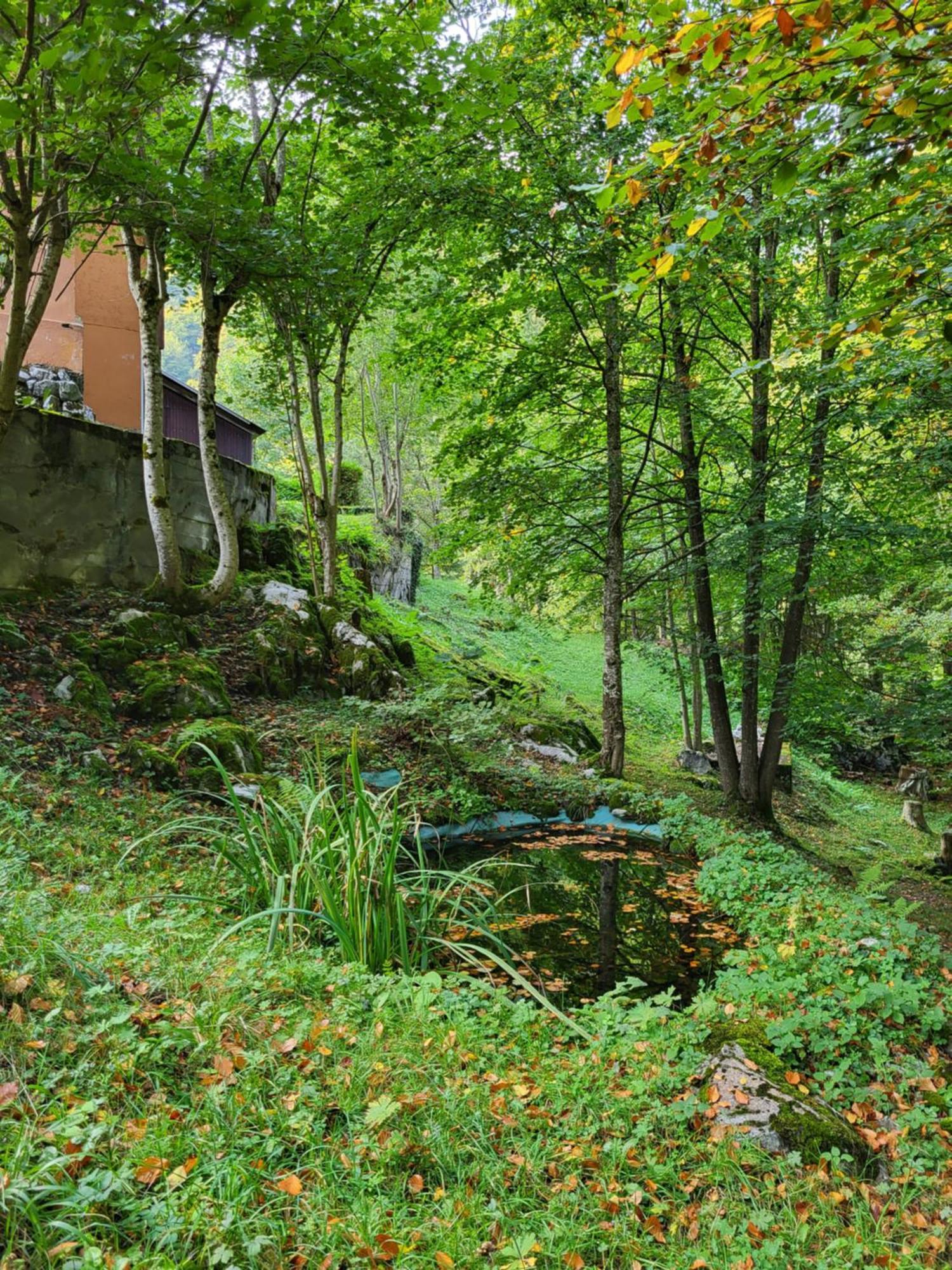Ferienhaus Baerschwendi Lungern Exterior photo
