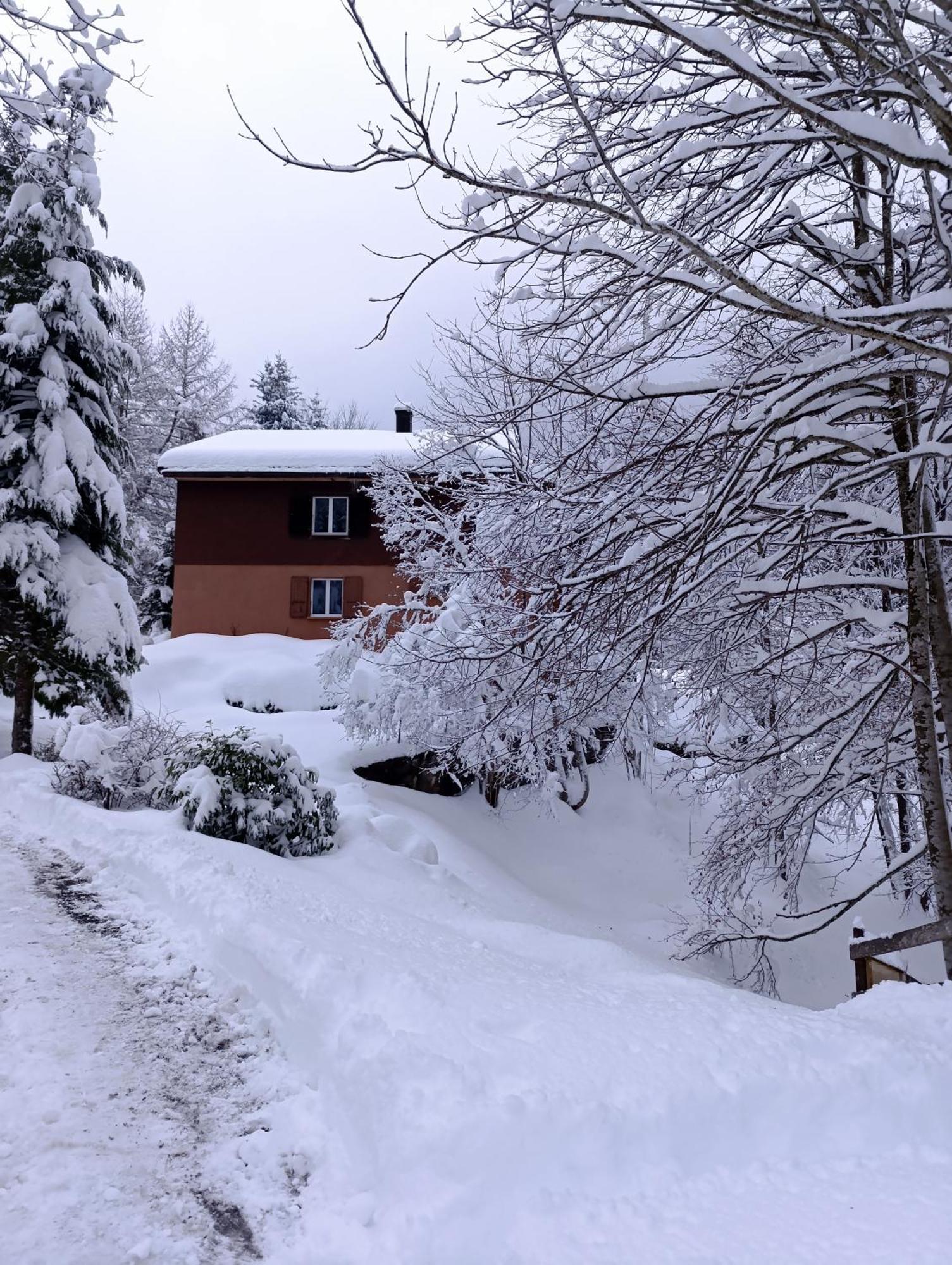 Ferienhaus Baerschwendi Lungern Exterior photo